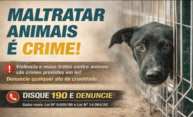 foto Not&iacute;cia Ceilândia