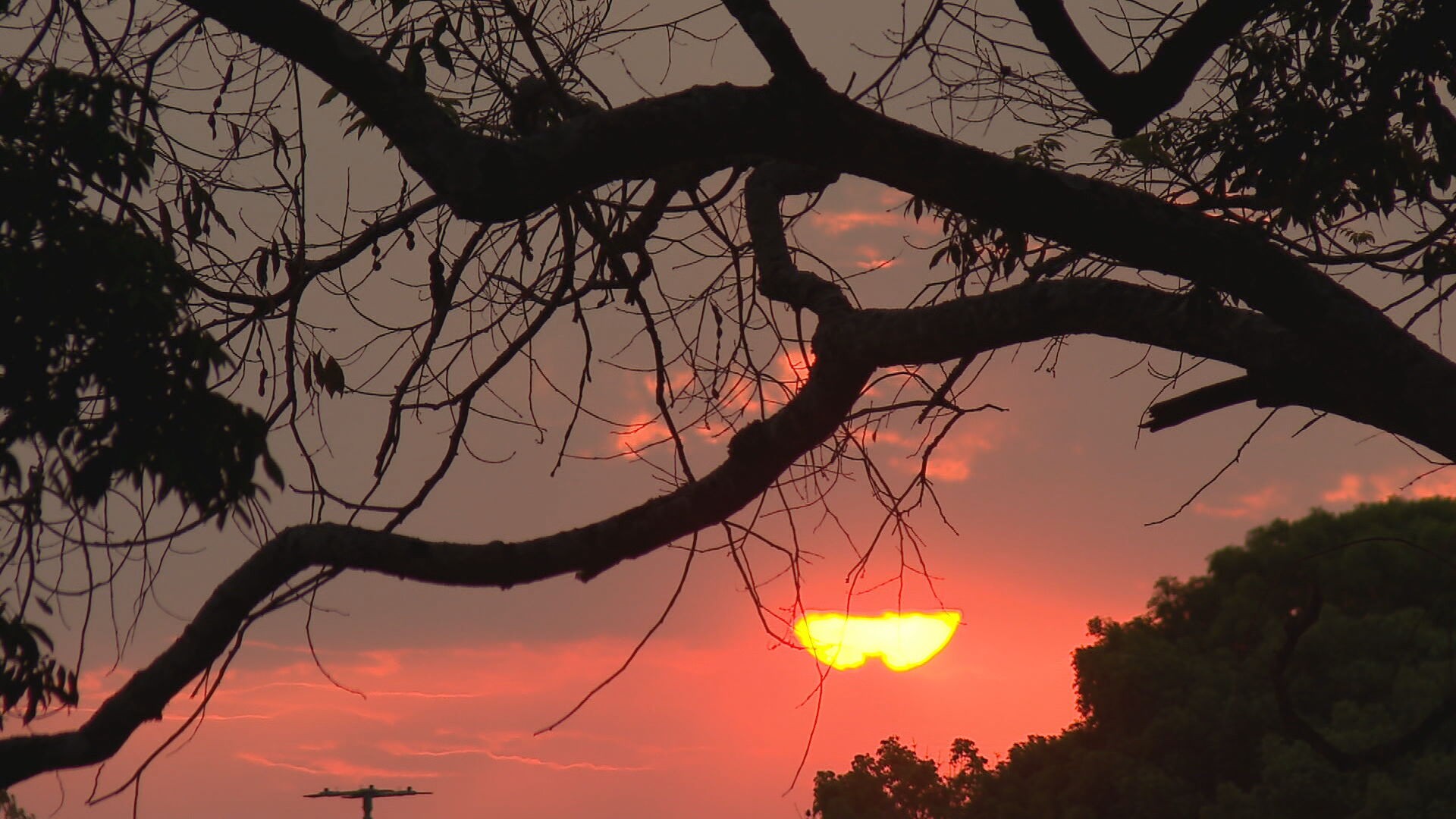 foto Not&iacute;cia Ceilândia
