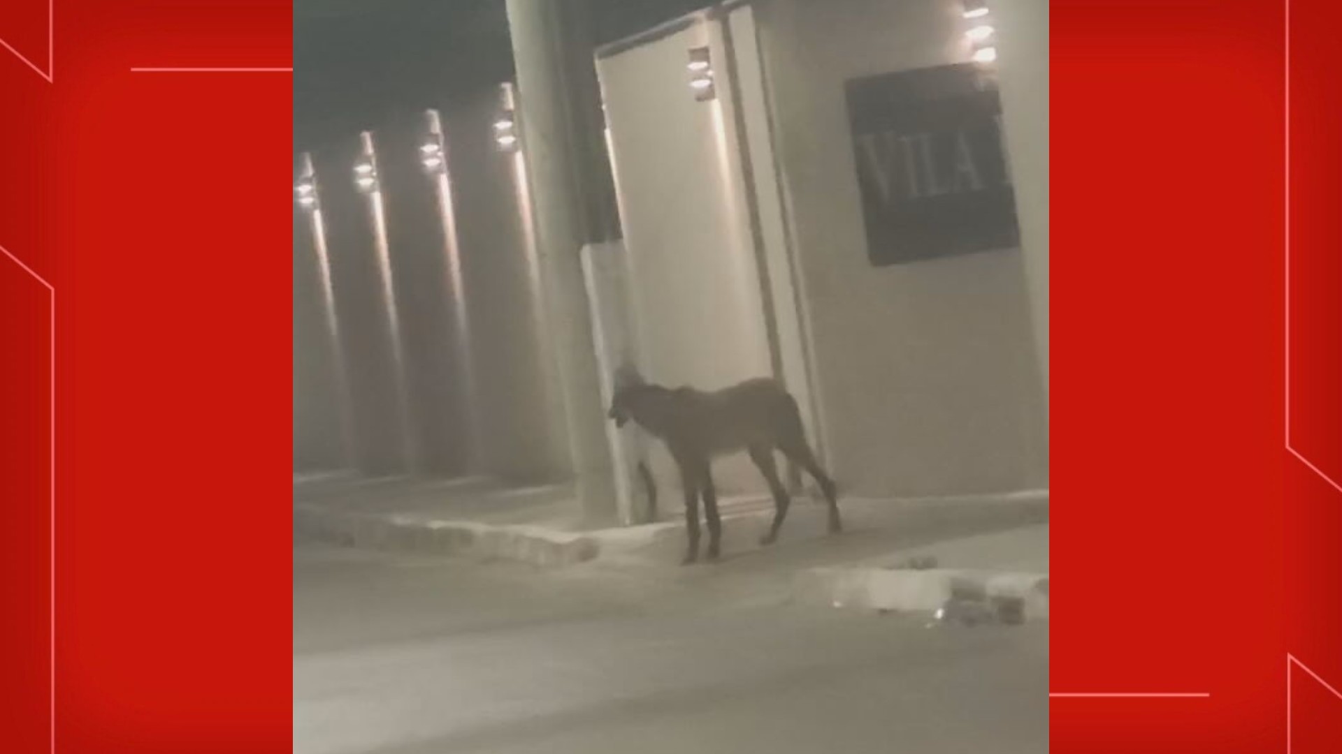 foto Not&iacute;cia Ceilândia